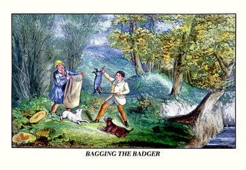 Bagging the Badger 20x30 poster