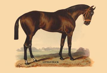 Little Duck 20x30 poster