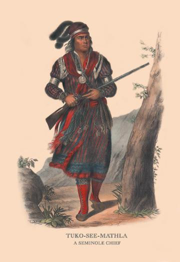 Tuko-See-Mathla (A Seminole Chief) 20x30 poster