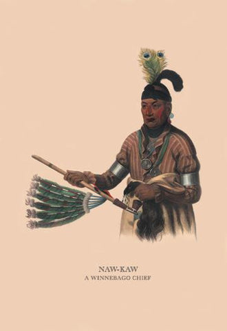 Naw-Kaw (A Winnebago Chief) 20x30 poster