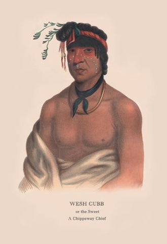 Wesh Cut; A Chippewah Chief) 20x30 poster