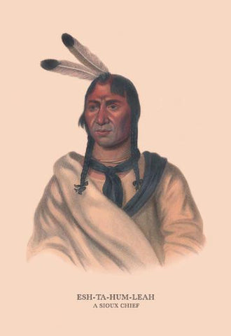 Esh-Ta-Hum-Leah (A Sioux Chief) 20x30 poster