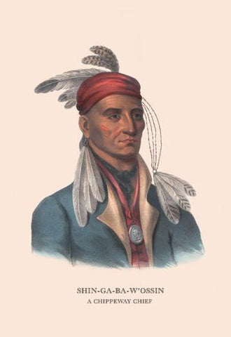 Shin-Ga-Ba-W&#39;ossin (A Chippeway Chief) 20x30 poster