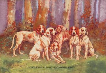 French Staghounds of the Chambray Strain 20x30 poster