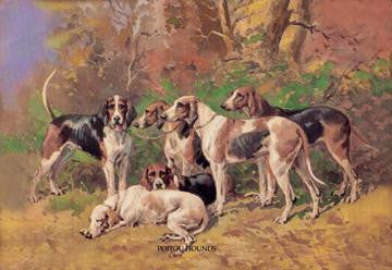 Poitou Hounds 20x30 poster