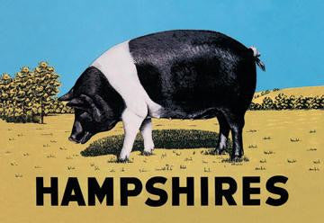 Hampshires 20x30 poster