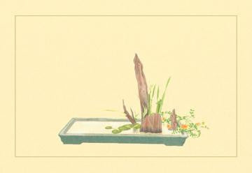 Reed and Pond Lily 20x30 poster