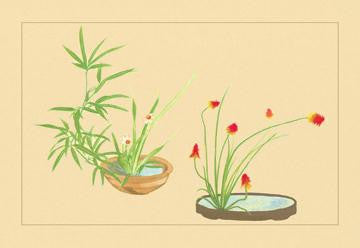 Bamboo, Narcissus, and Lily 20x30 poster