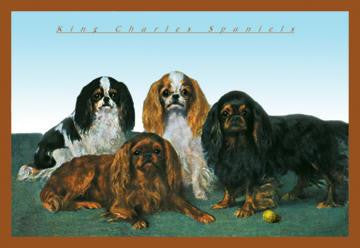 King Charles Spaniels 20x30 poster