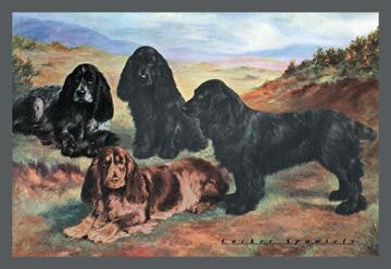 Four Cocker Spaniels 20x30 poster