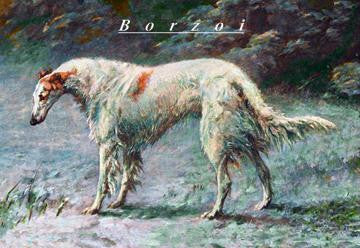 Champion Borzoi 20x30 poster