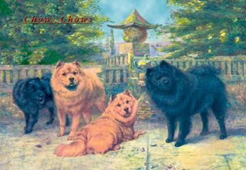 Four Champion Chow-Chows 20x30 poster