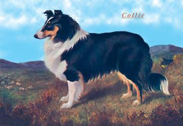 Reverend Hamilton&#39;s Collie 20x30 poster