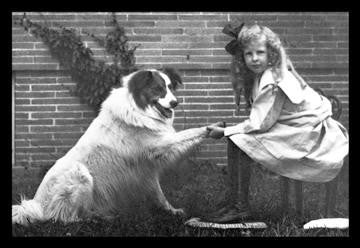 Girl Shaking Hands with Dog 20x30 poster