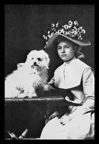 Woman in Bonnet with Maltese Terrier 20x30 poster