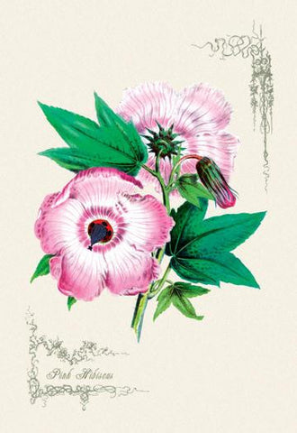 Pink Hibiscus 20x30 poster