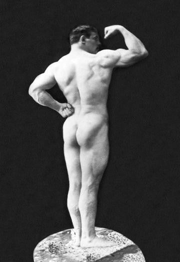 Statuesque Back and Arm Curl 20x30 poster