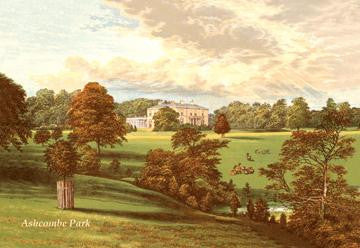 Ashcombe Park 20x30 poster