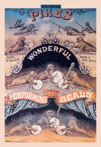 Pikes Wonderful Performing Seals 20x30 poster