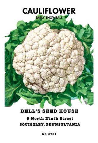 Cauliflower: Early Snowball 20x30 poster