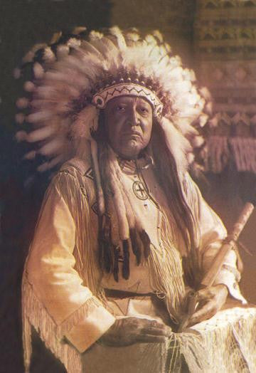 Thunderbird - Cheyenne Chief 20x30 poster