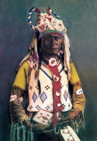 Sioux Chief Old Hand 20x30 poster