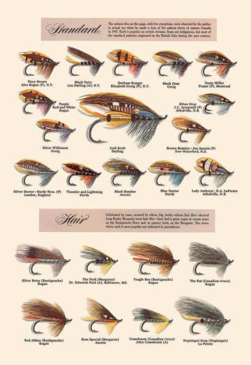 Fly-Fishing Lures: Standard and Hair 20x30 poster