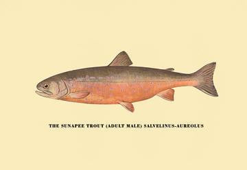 The Sunapee Trout 20x30 poster