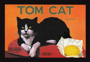 Tom Cat Brand 20x30 poster