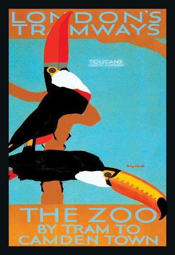 The London Zoo: South American Toucans 20x30 poster