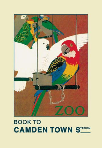 The London Zoo: Exotic Birds 20x30 poster