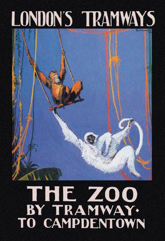 The Zoo Monkeys 20x30 poster