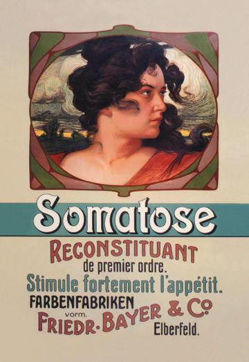 Somatose 20x30 poster