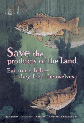 United States Food Administration Advisory: Save the Products of the Land 20x30 poster