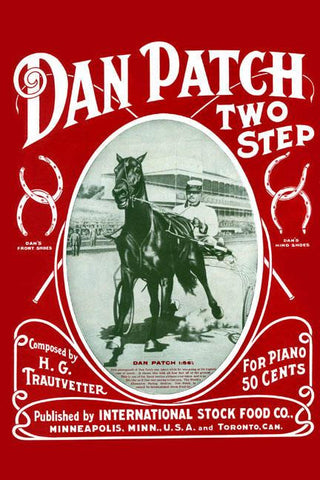 Dan Patch Two Step 20x30 poster