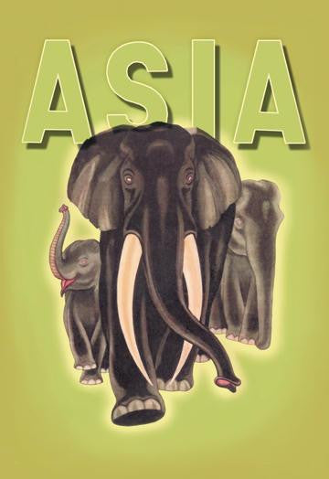 Indian Elephants 20x30 poster