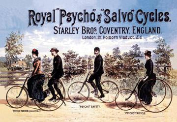 Royal Psycho and Salvo Cycles 20x30 poster