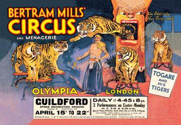 Togare and his Tigers: Bertram Mills&#39; Circus and Menagerie 20x30 poster