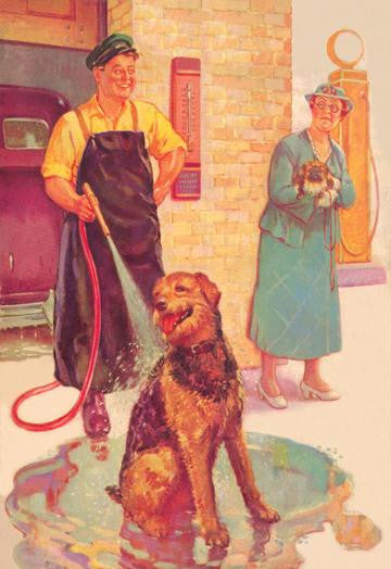 Dog Wash 20x30 poster