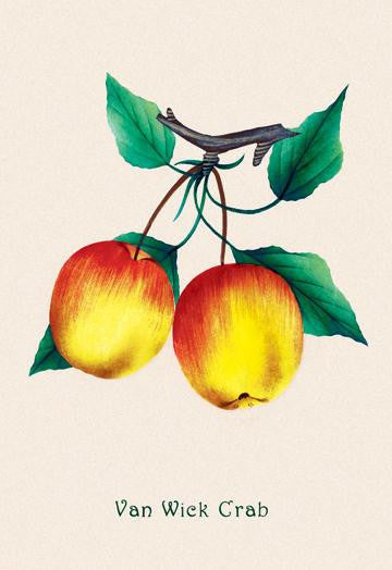 Van Wick Crab Apple 24x36 Giclee