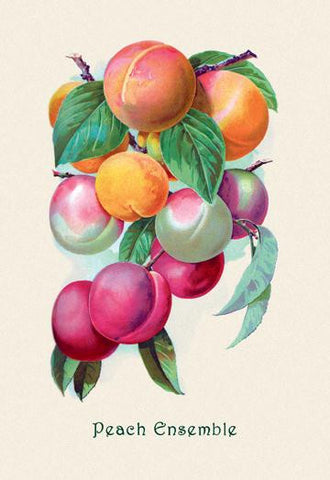 Peach Ensemble 24x36 Giclee