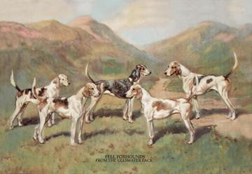 Fell Foxhounds 24x36 Giclee