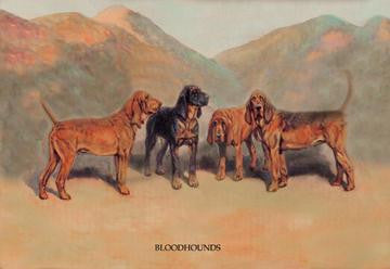 Bloodhounds 24x36 Giclee