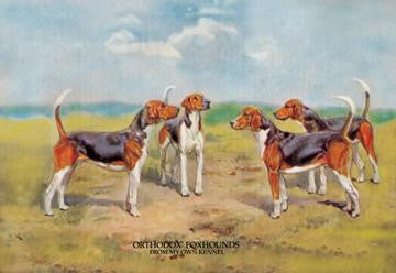 Orthodox Foxhounds 24x36 Giclee