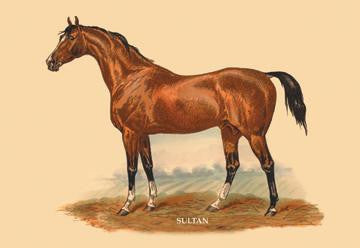 Sultan 24x36 Giclee