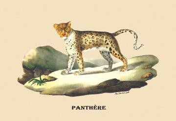 Panthere (Panther) 24x36 Giclee