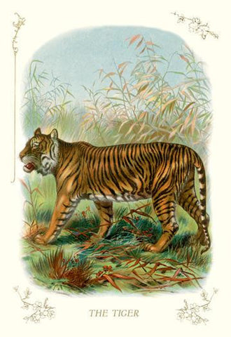 The Tiger 24x36 Giclee