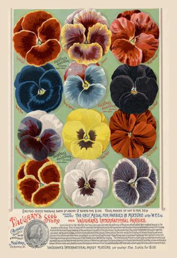 Vaughan&#39;s Seed Store - Pansies 24x36 Giclee