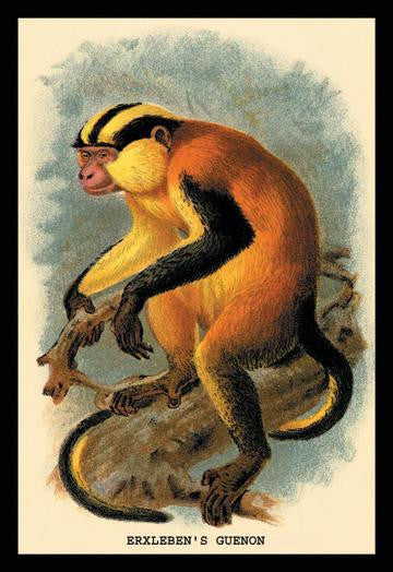 Erxleben&#39;s Guenon 24x36 Giclee