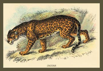 Jaguar 24x36 Giclee